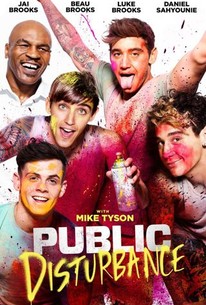 Poster for Public Disturbance