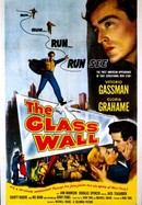 The Glass Wall poster image