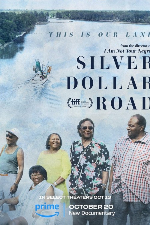 Silver Dollar Road poster