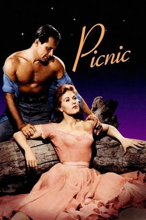Picnic poster
