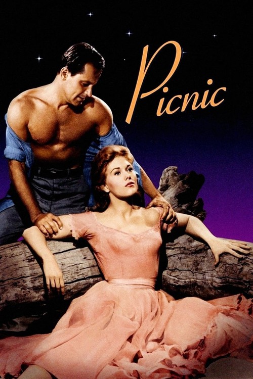 Picnic poster