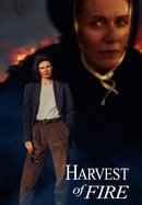 Harvest of Fire poster image