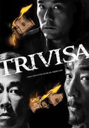 Trivisa poster image