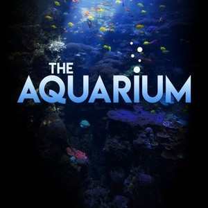 The Aquarium - Rotten Tomatoes