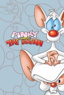 Pinky & the Brain: Season 1 poster image
