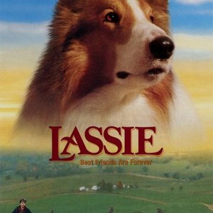 Lassie photo 2