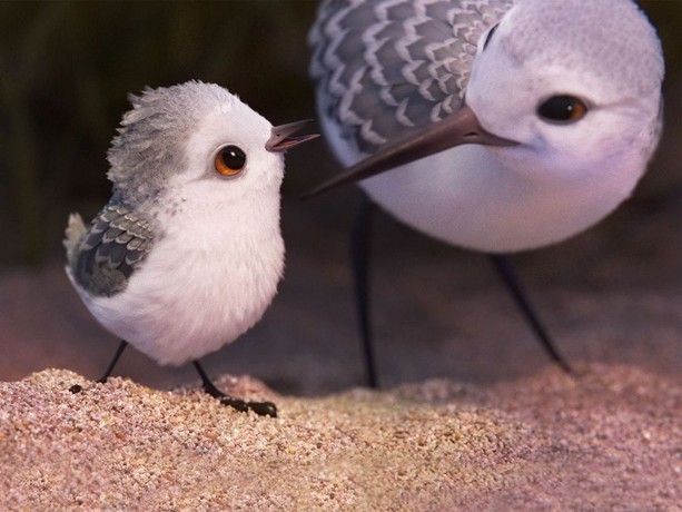 Piper video pixar on sale