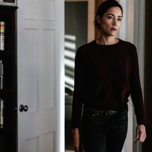 Mr. Robot Adds Sandrine Holt, Americans Actor and More for Season 2