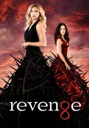Revenge poster image