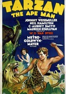 Tarzan, the Ape Man poster image