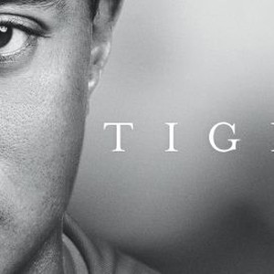 "Tiger photo 7"