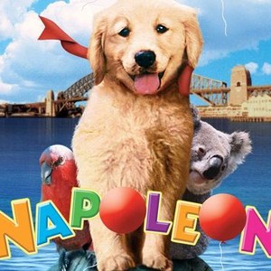 Napoleon (DVD, 1995) for sale online