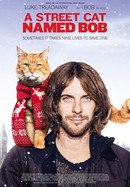 A Street Cat Named Bob poster image