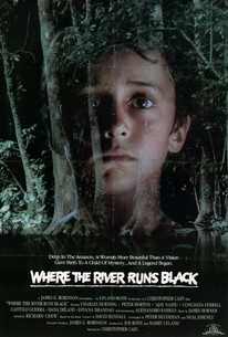 Where the River Runs Black poster