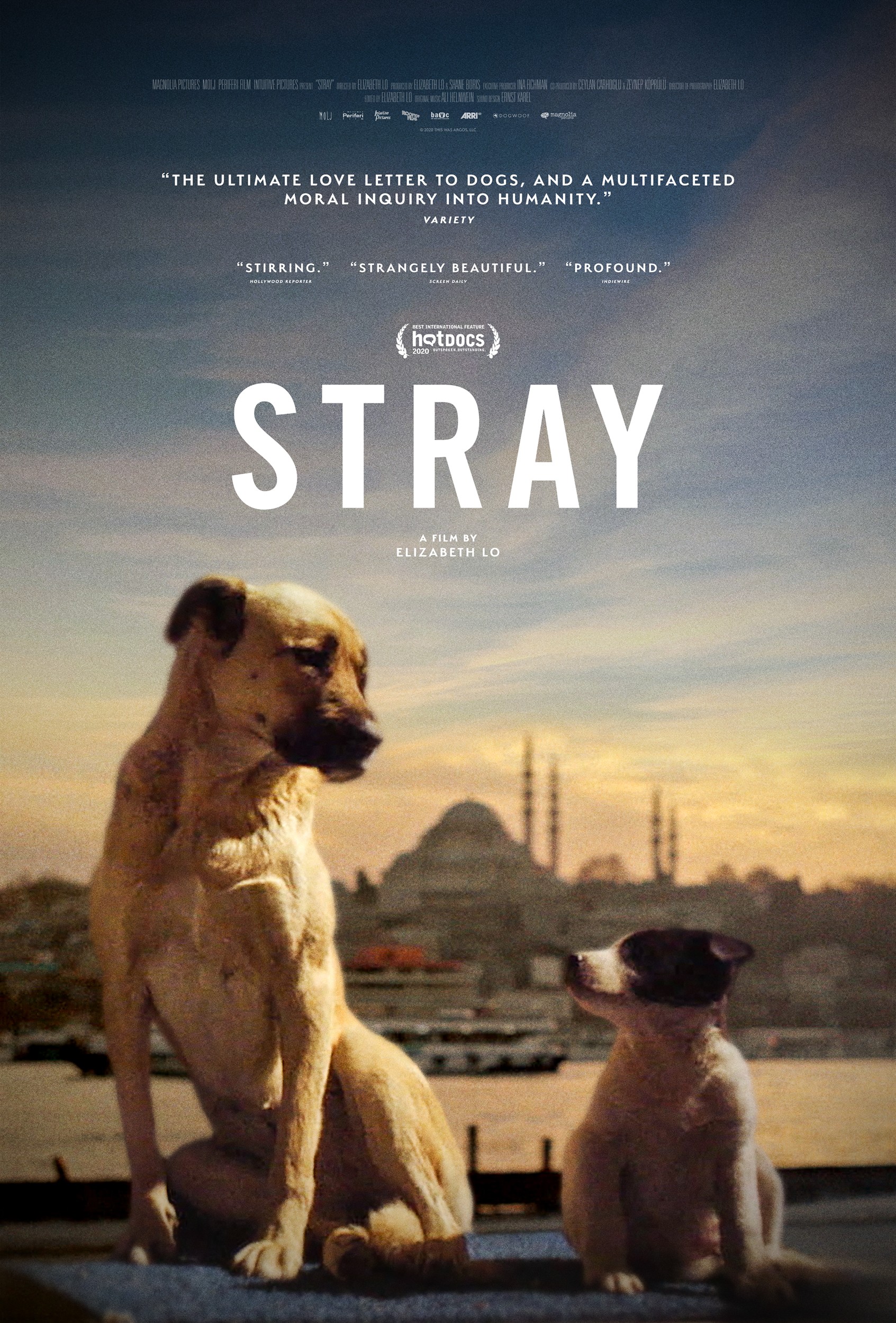 Stray Trailer 1 Trailers & Videos Rotten Tomatoes