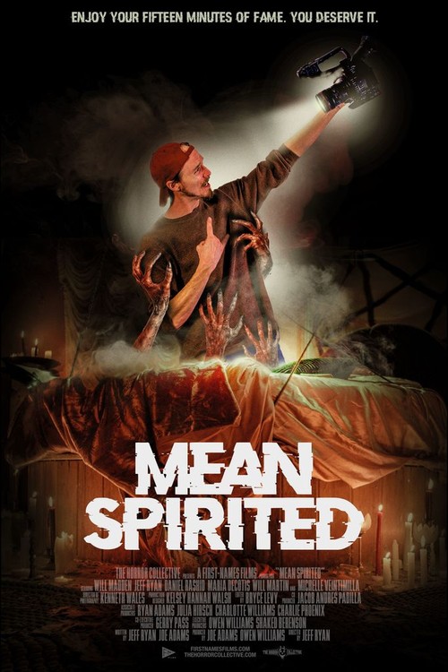 Mean Spirited poster