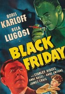 Black Friday poster image
