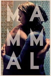 Mammal poster