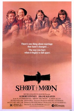 Shoot the Moon poster