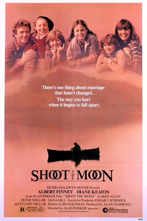 Shoot the Moon poster