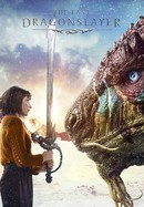 The Last Dragonslayer poster image