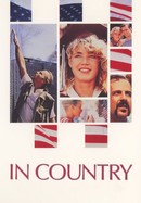 In Country poster image