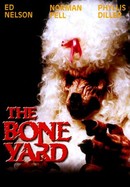 The Boneyard poster image