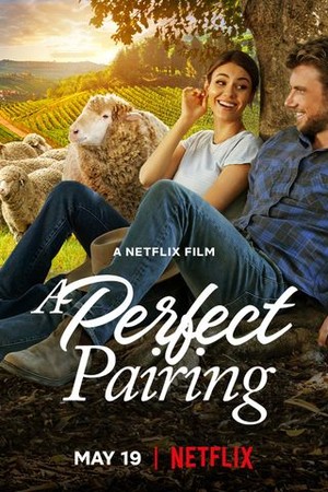 A Perfect Pairing poster