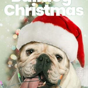 A Bulldog for Christmas photo 13