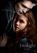 Twilight poster image