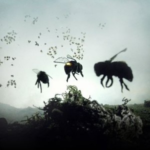 "Vanishing of the Bees photo 2"