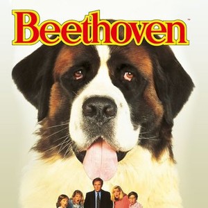 "Beethoven photo 3"