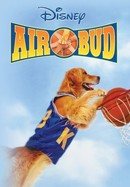 Air Bud poster image