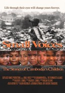 Small Voices: The Stories of Cambodia's Children poster image