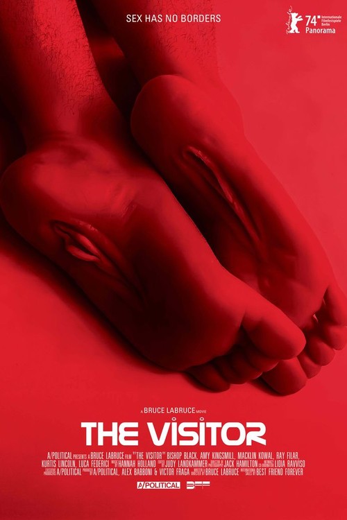 The Visitor poster