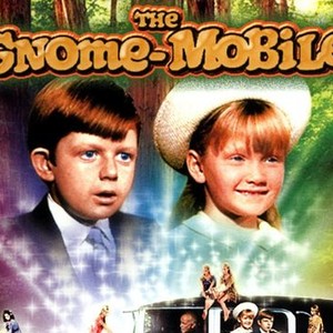 The Gnome-Mobile photo 1