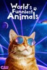 Poster for 