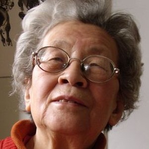 Fengming: A Chinese Memoir (2007) photo 9