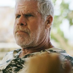 Ron Perlman as Wes Chandler
