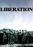 Liberation poster image