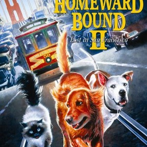 homeward bound movie dog