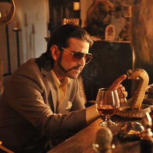 Diego Luna as Raul Alvarez in "Casa de mi Padre."