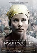 North Country poster image