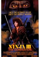 Ninja III -- The Domination poster image