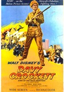 Davy Crockett: King of the Wild Frontier poster image
