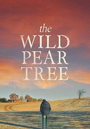 The Wild Pear Tree poster image