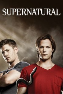 Supernatural: Season 6 poster image