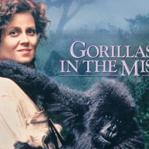 "Gorillas in the Mist photo 8"