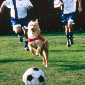 Soccer Dog: The Movie (1999) photo 7