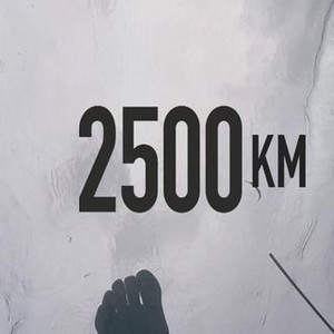 2500 км2 это сколько